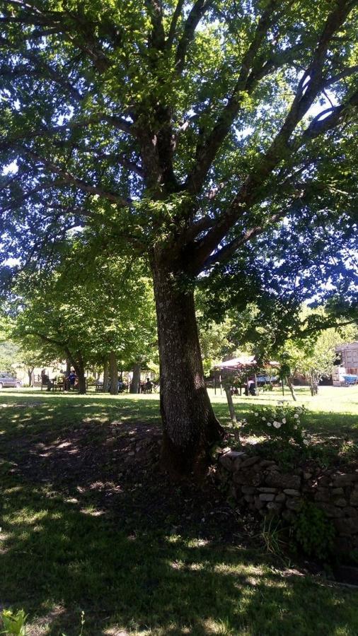 Agriturismo I Fondacci Grizzana Dış mekan fotoğraf