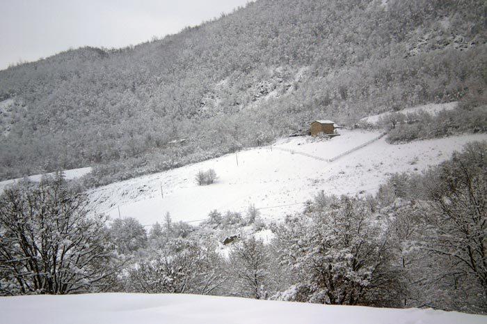 Agriturismo I Fondacci Grizzana Dış mekan fotoğraf
