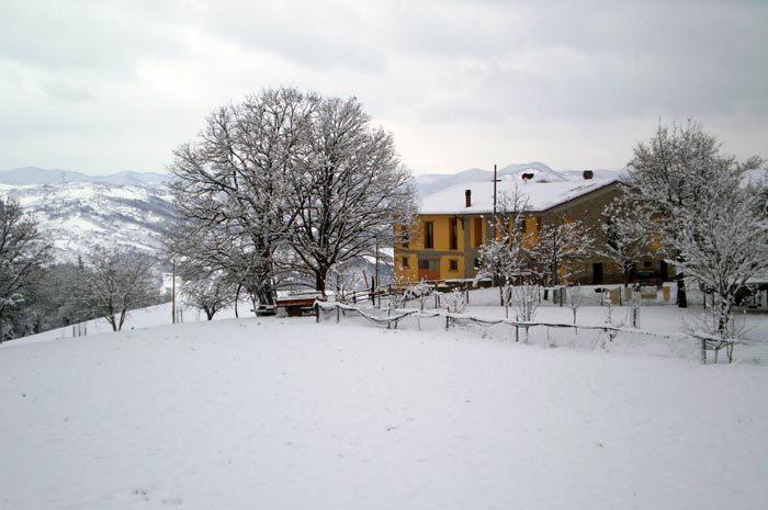 Agriturismo I Fondacci Grizzana Dış mekan fotoğraf