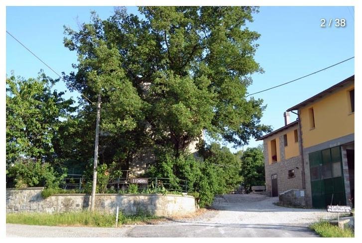 Agriturismo I Fondacci Grizzana Dış mekan fotoğraf