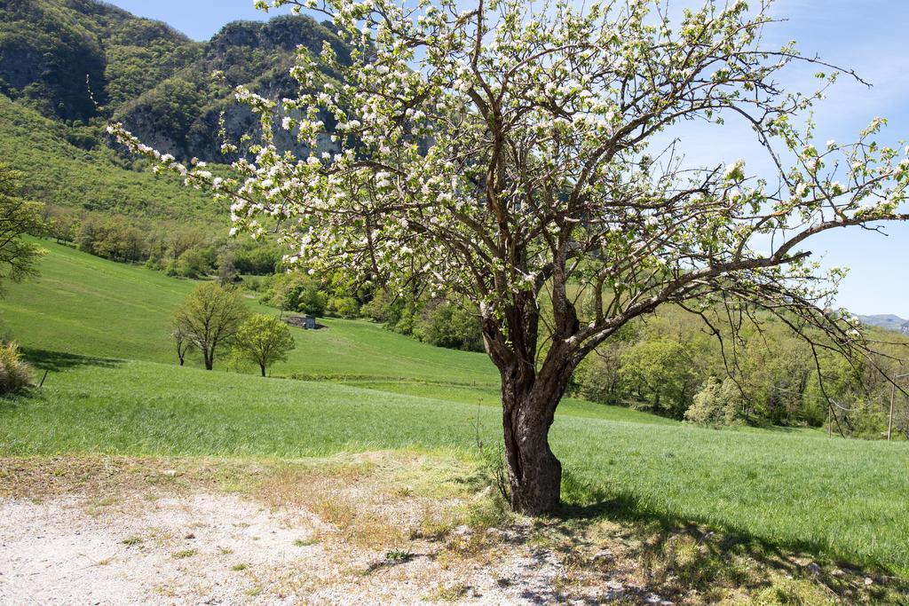 Agriturismo I Fondacci Grizzana Dış mekan fotoğraf